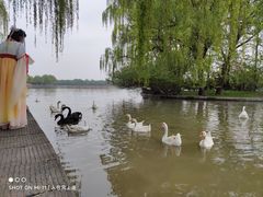 -洛阳市隋唐城遗址植物园