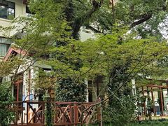 -普陀山雷迪森庄园