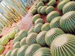 -南通洲际绿博园