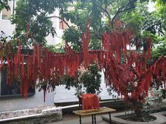 -小洲村
