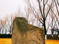 -莲花池公园