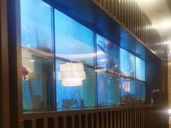 -珍宝海鲜JUMBO Seafood(尚嘉店)
