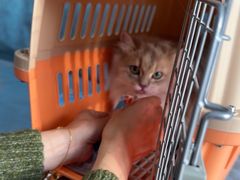 -德元·美联众合24小时动物医院(总院)