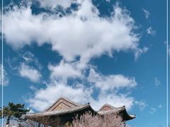 -香山公园