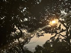-海南铜鼓岭景区
