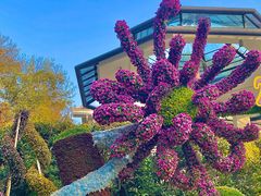 -杭州植物园