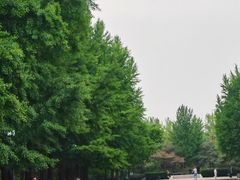 -玲珑塔公园