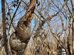 -南京金牛湖风景区