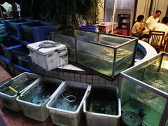 水产区-稻香村鱼庄