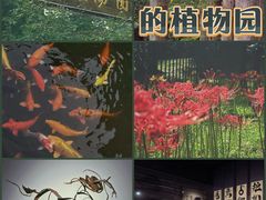 -杭州植物园