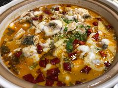 -百岁鱼(望月路店)