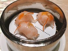 金鱼饺-8餐厅(新葡京酒店)
