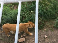 -西安秦岭野生动物园