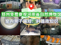 -河南自然博物馆