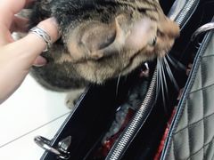 -么凤(波斯富街店)