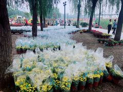 -毛氏汽水包(山海关路店)