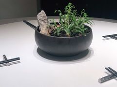 -品粹徽园·家常安徽菜