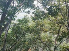 -青岩寺风景区