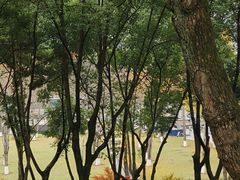 -重庆市江北嘴中央商务区中央公园