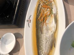 糟香爆腌大白鱼-徽珍源(龙茗路店)