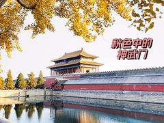 -故宫博物院(故宫)