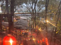 -巴倒烫陆派火锅山庄(南山总店)