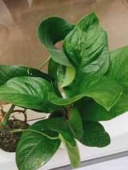 -吉艺心专业美发造型