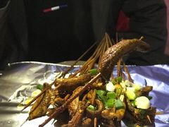 鳝鱼-晓靖轩烧烤(沙河风情店)