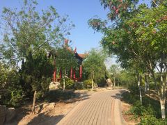 -大港湿地公园