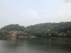 -广州市石门国家森林公园