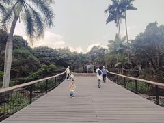-荔枝公园(福田区)
