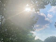 -金钉子远古世界景区
