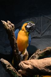 -Zoolung Zoolung动物主题公园(海信广场店)