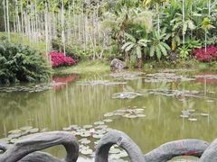 -呀诺达热带雨林