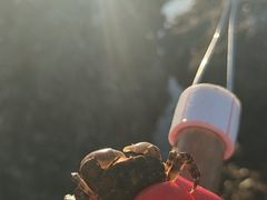 -石槽海滨浴场