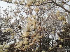 -泉城广场