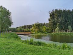 -东郊湿地公园