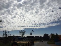 -中国马镇舞马世界主题乐园