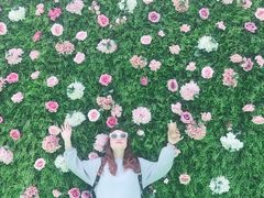 -芜湖方特旅游度假区