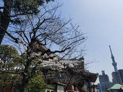 -浅草寺