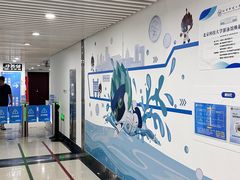 -北京科技大学-游泳馆