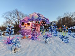 -沈阳奥体冰雪嘉年华