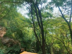 -秦岭终南山世界地质公园翠华山景区