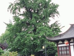 -常熟方塔园