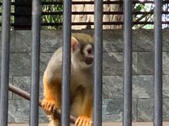 -广东茂名森林公园