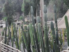 -MOJ coffee(瓯海泽雅水碓坑店)