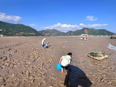 -北岐滩涂