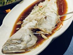 -金狮麟·新豫菜(金码大厦店)