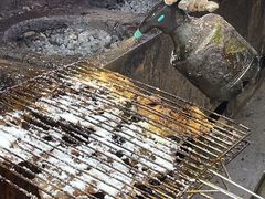 -周记老沈阳焦火鸡架