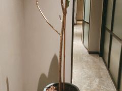 -徐记海鲜·宴会(大唐西市|丰庆店)